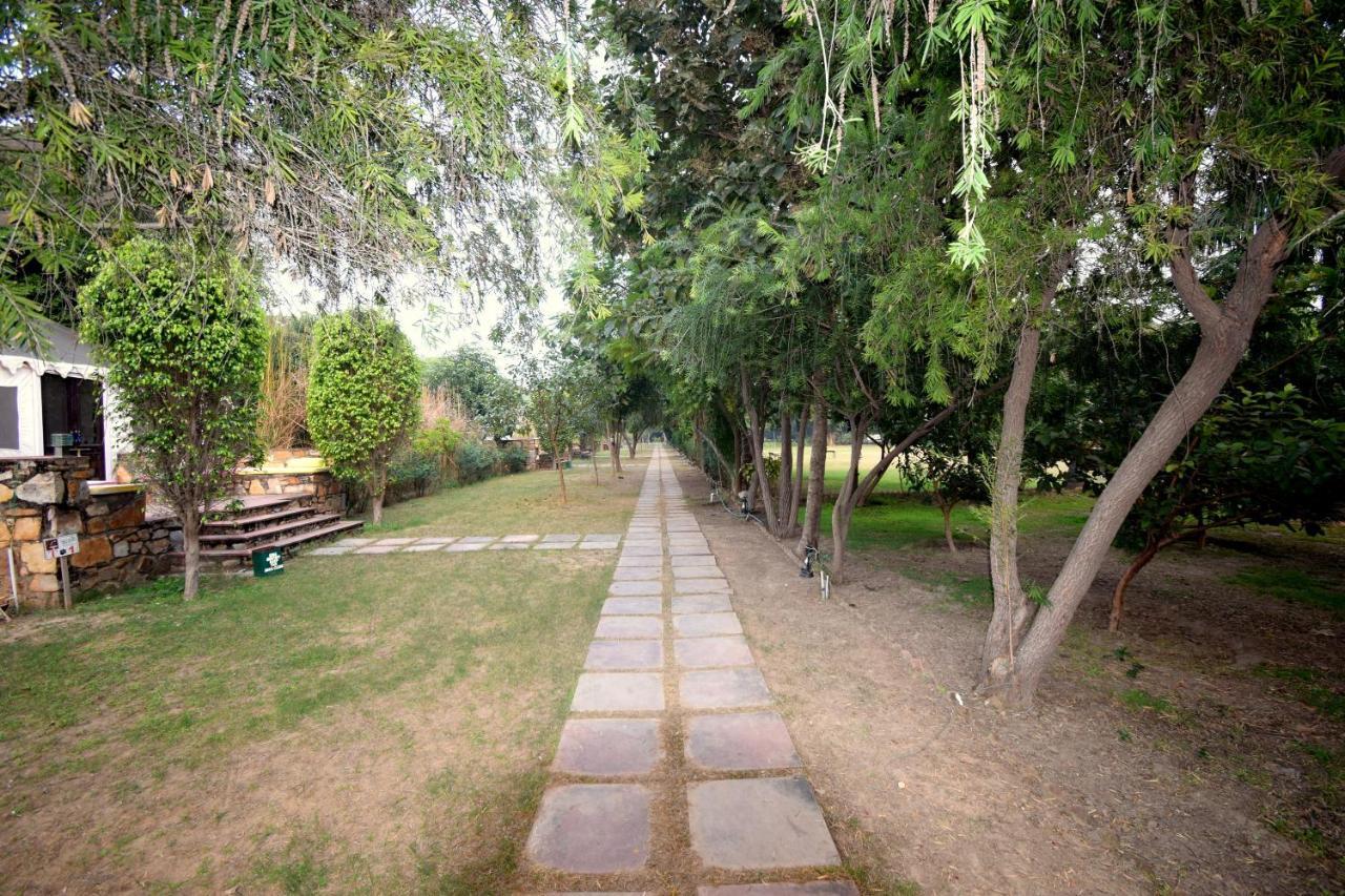 Sultan Bagh Resort By The Sky Imperial Савай Мадхопур Екстериор снимка