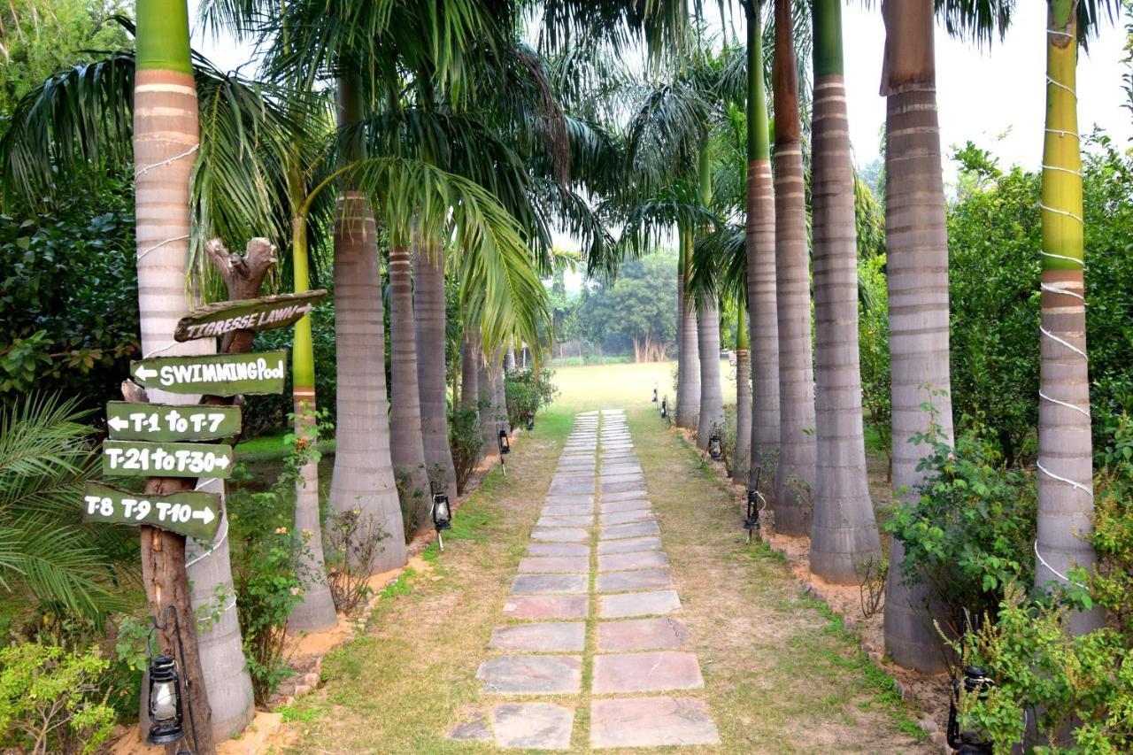 Sultan Bagh Resort By The Sky Imperial Савай Мадхопур Екстериор снимка